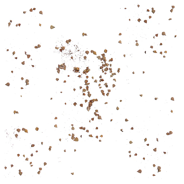 Autumn leaves — Descargar