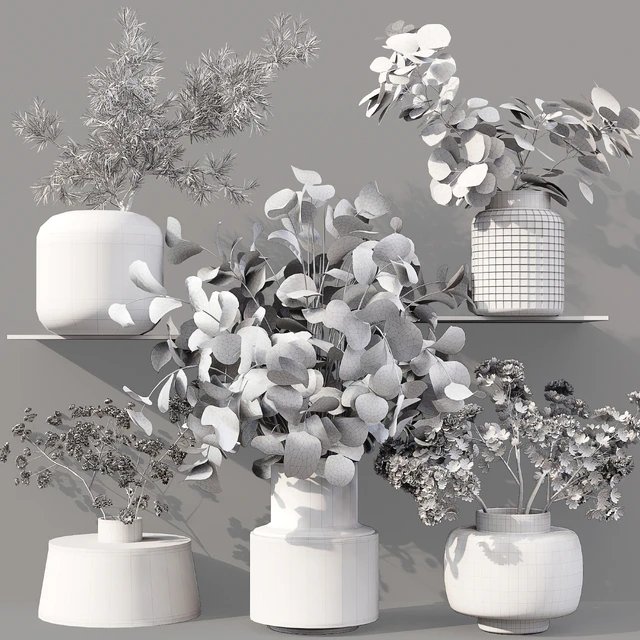 Collaction Indoor Plants 07 — Скачать
