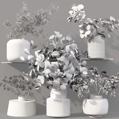 Collaction Indoor Plants 07 — Вид 6
