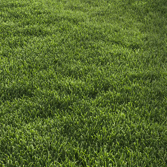 Garden Lawn 6 — Скачать