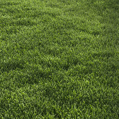 Garden Lawn 6 — Вид 7