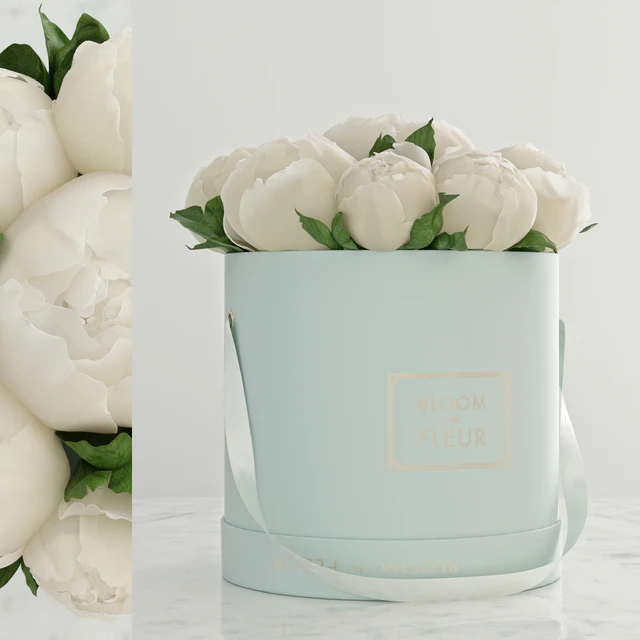 Peonies — Descargar