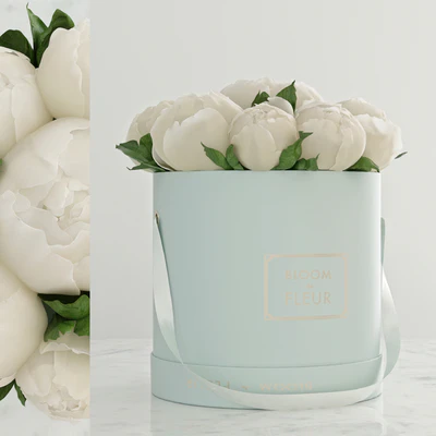 Peonies — Descargar