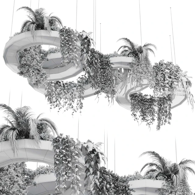 Hanging Plants - Indoor plants 309 — Скачать