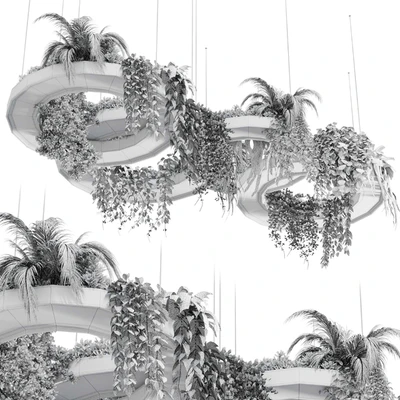 Hanging Plants - Indoor plants 309 — Вид 5