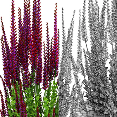 Red plant — Ver 3