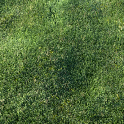 Поле травы 01 — Вид 5