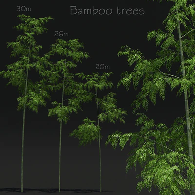 Bamboo Trees — Ver 1
