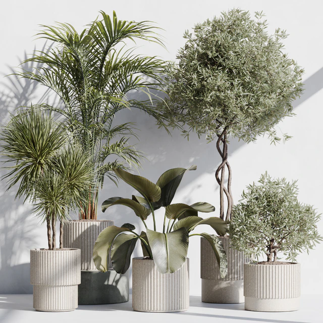 indoor plant set 71 — Скачать