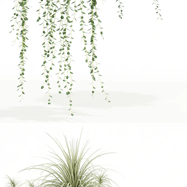 Plants collection 121 — Descargar