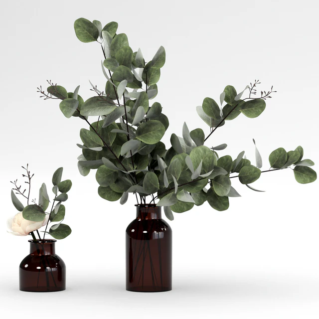 Bouquets of eucalyptus. — Descargar