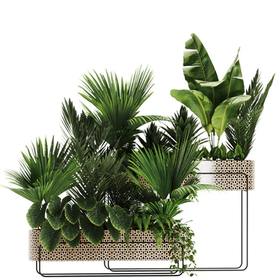 Indoor plants in box set-70 — Ver 5