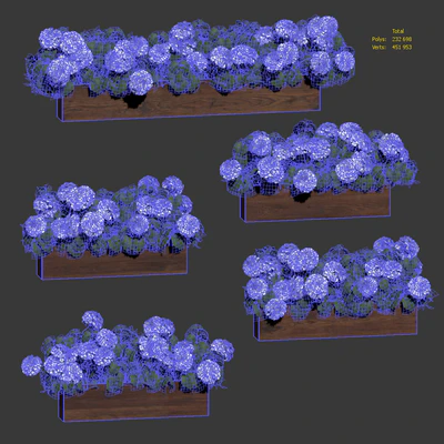Hydrangea plant in a flowerpot for the facade. 5 models — Ver 6