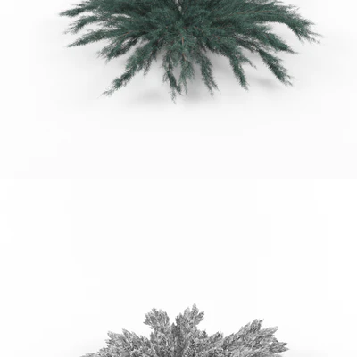 Juniper horizontal | Juniperus horizontalis Blue Chip — Ver 2