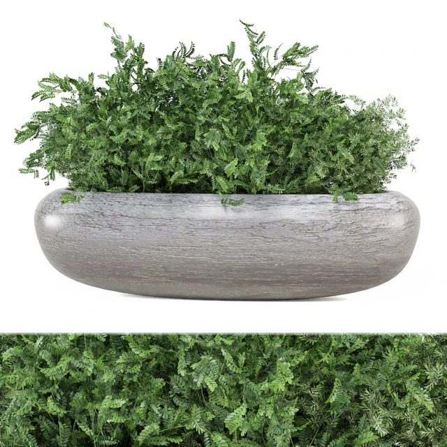 Indoor Plants Collection 1900 — Download