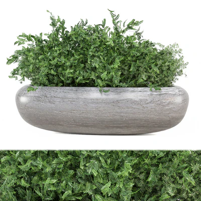 Indoor Plants Collection 1900 — View 4