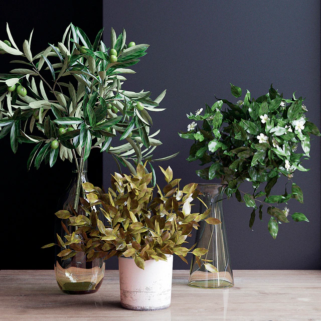Flowers, branch 3 — Descargar