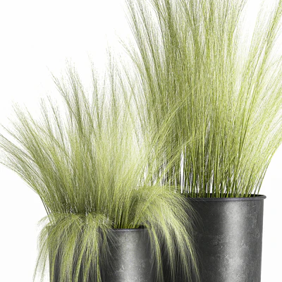 Collection of plants in black metal pots with bush grass grass. Set 1004. — Ver 6