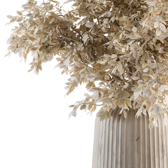 Dry plants 46 - Dried Plant Bouquet — Descargar