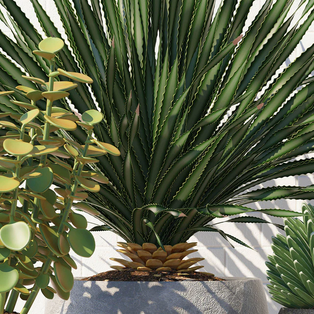 PLANTS 167 — Descargar