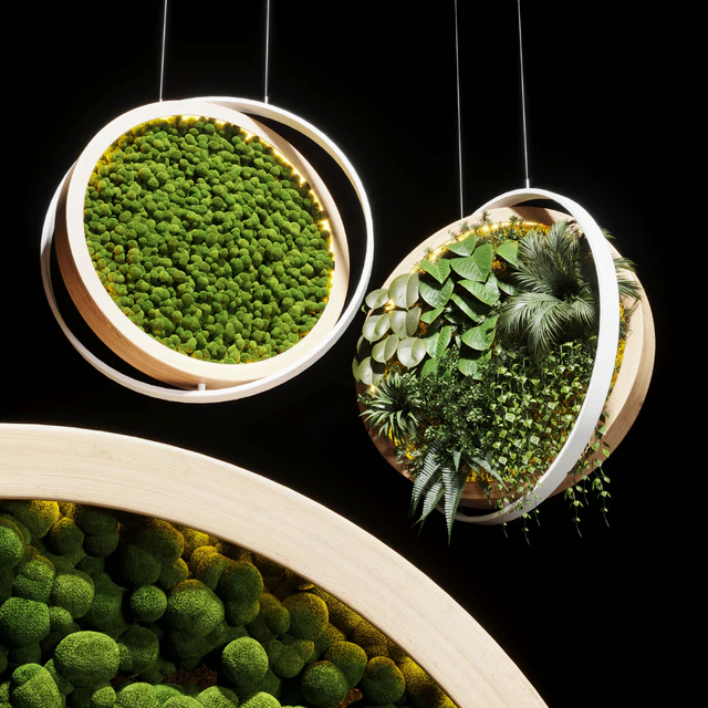 hanging garden and hanging moss in wooden frame 218 — Descargar