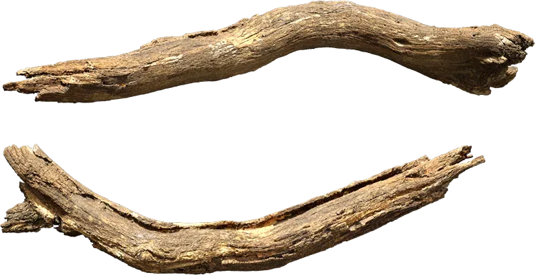 old tree branch 007 — Descargar