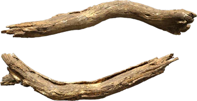 old tree branch 007 — Descargar