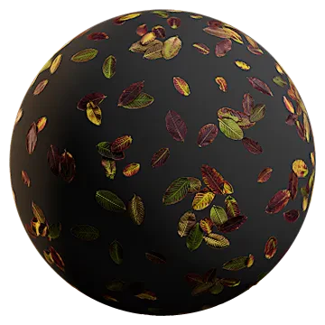 guava leaves 002 — Descargar