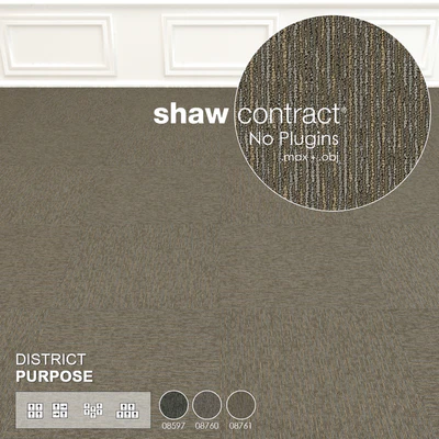 Shaw Carpet District Purpose Wall to Wall Floor No 1 — Ver 3
