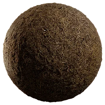 dried grass 012 — Descargar