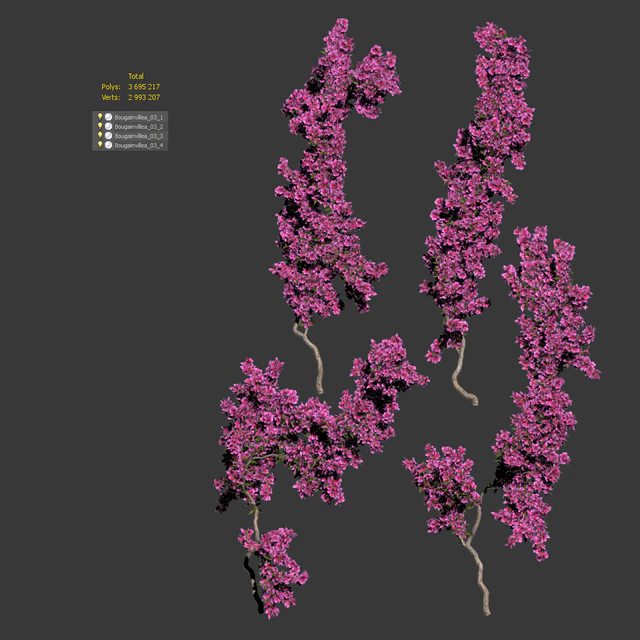 Bougainvillea for walls. 4 models — Descargar