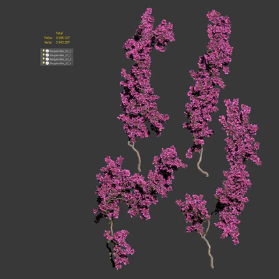 Bougainvillea for walls. 4 models — Ver 5