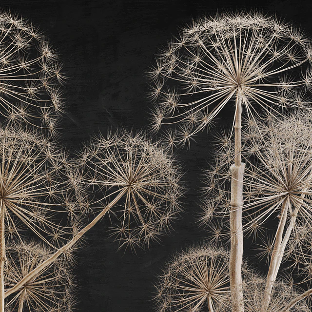 Decor set 11 Heracleum plant — Descargar