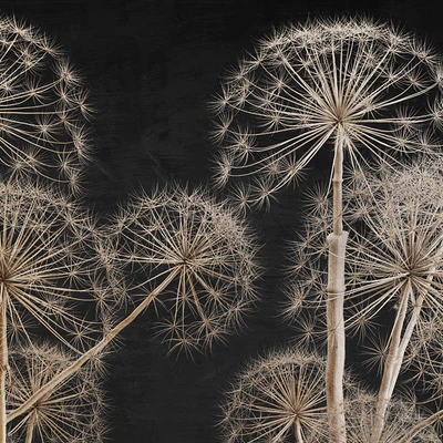 Decor set 11 Heracleum plant — Ver 5