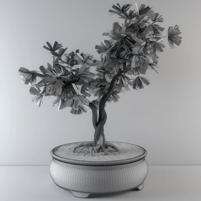Bonsai broadleaf tree — Descargar