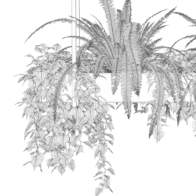 Indoor plants in a hanging rectangular planter — Descargar