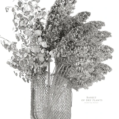 Basket of dry plants — Вид 4