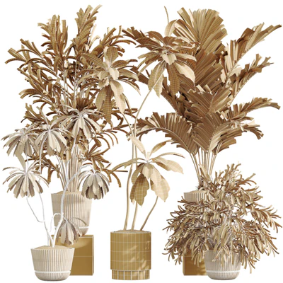 AV Indoor Plants Set 396 Dypsis Lutescens and Ficus Cyathistipula and Cyara Areca Palm — View 6