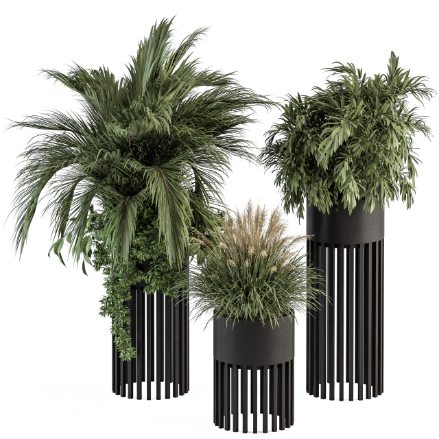 indoor Plant Set 301 - Plant Set in Round Stand Black pot — Скачать