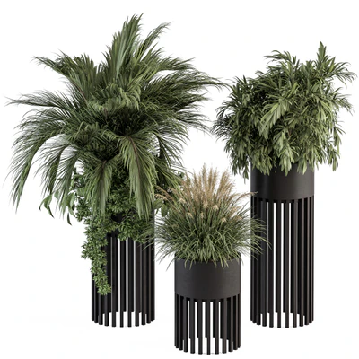 indoor Plant Set 301 - Plant Set in Round Stand Black pot — Вид 1