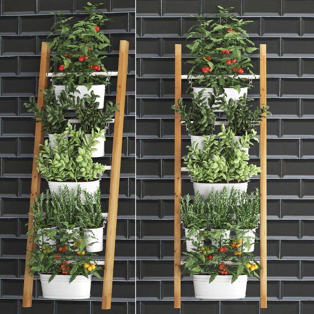 Vertical gardening. 35. kitchen garden, garden, vegetables, tomatoes, basil, greens, flowerpot, kitchen apron, tile, phytowall, phytomodule, eco design — Descargar