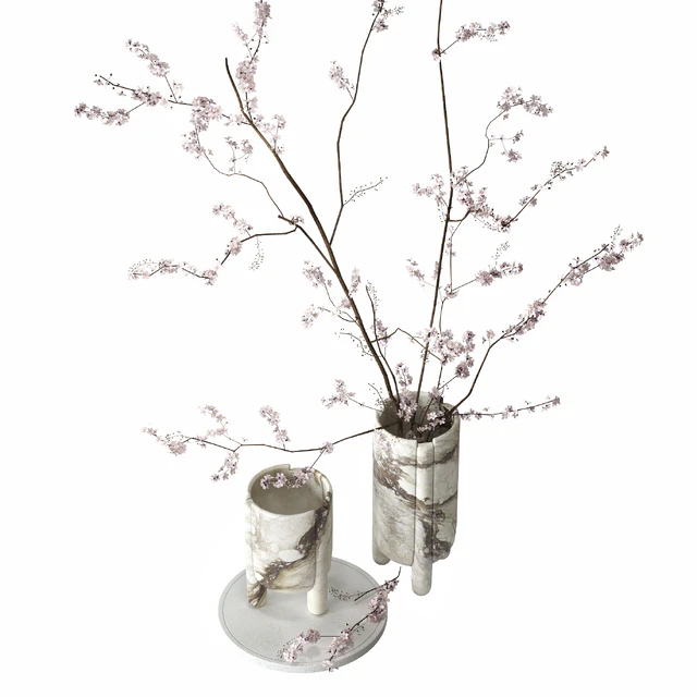Decorative set with blossoming branches — Скачать