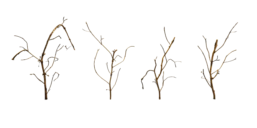 dead weed 002 — Скачать