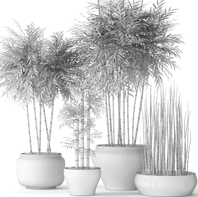 Bamboo and Equisetum, цветок, горшок, куст бамбука, заросли, бамбук, горшок, вазон, уличный, хвощ — Скачать