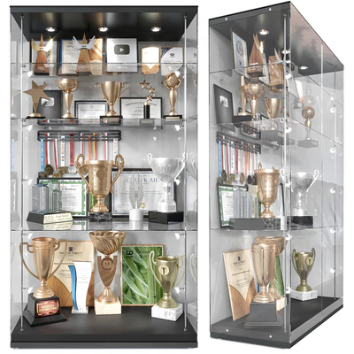 Award cabinet — Вид 1