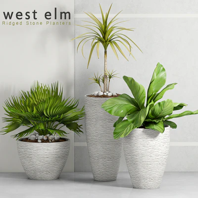 PLANT -34 — Ver 1