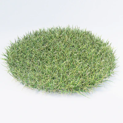 grass — Ver 3