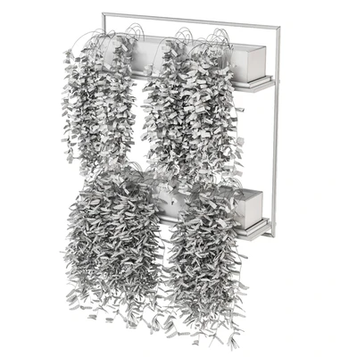 indoor hanging plants in metal box set 142 — Вид 6