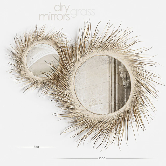 Mirror Dry Grass — Скачать