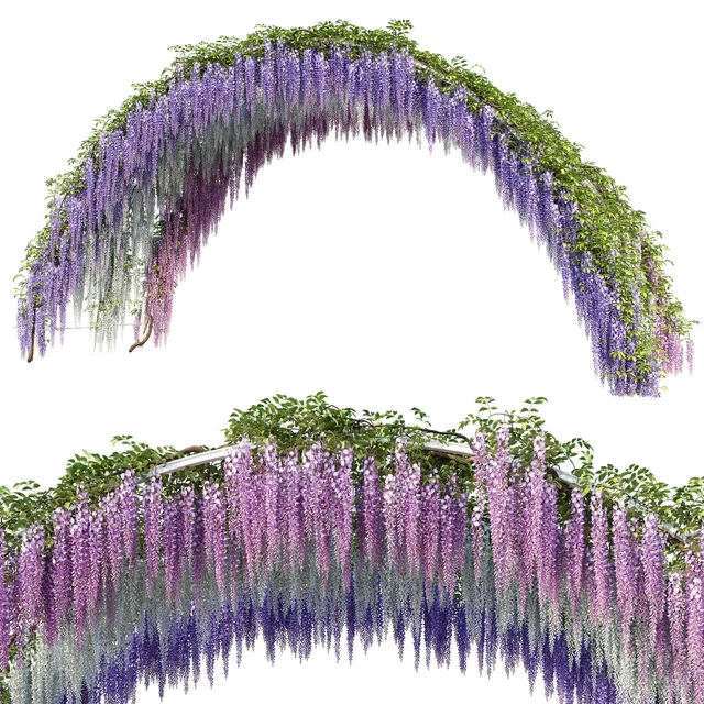 Arch with Wisteria — Descargar
